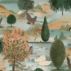 Swan Lake Wallpaper Orange