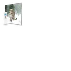 595x595 Persian Leopard Image Nexus Wi