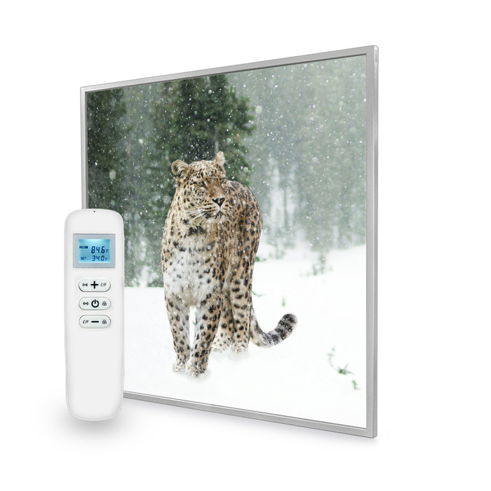 595x595 Persian Leopard Image Nexus Wi