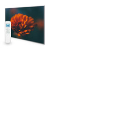 995x1195 Flower Image Nexus Wi