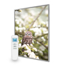 995x1195 Owl In The Spring Picture Nexus Wi