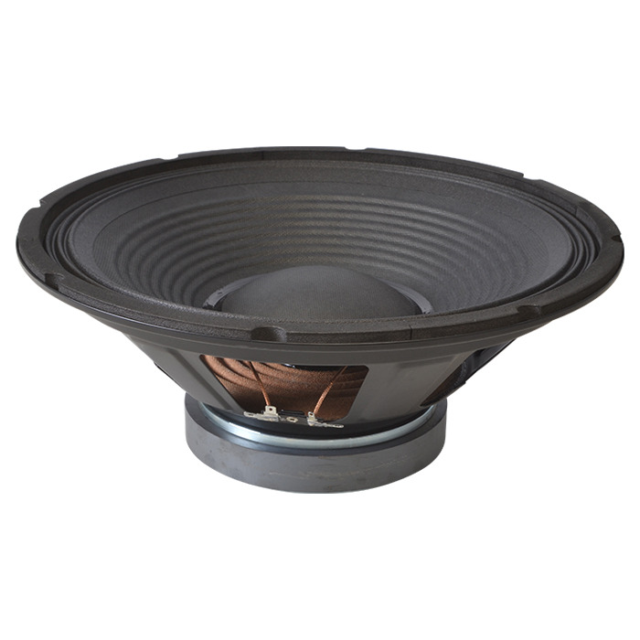 12" Speaker Driver 200 Watt 8 Ohm Bass and Midrange Woofer