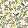 Lemon Leaf Trail Wallpaper Cream