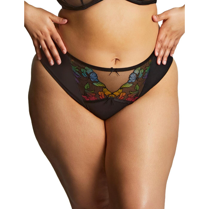 Sculptresse by Panache Eden High Leg Brief - Black - M - 12