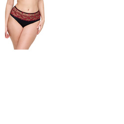Prima Donna Springdale Full Brief