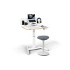 Leitz Ergo Small Electric Sit Standing Desk with Stand