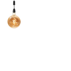 Bronze Globe Pendulum Hanging Light