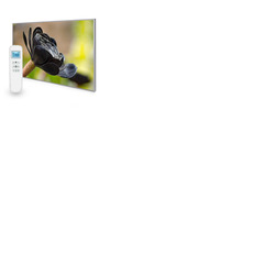 795x1195 Exotic Bloom Image Nexus Wi