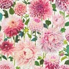 Harlequin Dahlia Wallpaper Blossom