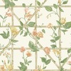 Trailing Floral Trellis Wallpaper Orange