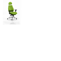 Chiro Plus 'Ergo' Posture Chair with Arms and Headrest Myrrh Green