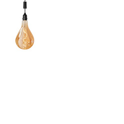 Battery Operated Glass Filament Bulb with On