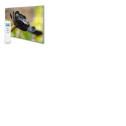 995x1195 Exotic Bloom Picture Nexus Wi