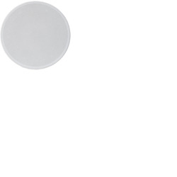 Ceiling Speaker 8 Ohm