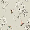 Harlequin Amazilia Hummingbird Wallpaper Silver