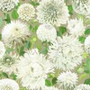 Harlequin Dahlia Wallpaper Sail Cloth