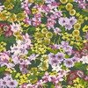 Harlequin X Sophie Robinson Wildflower Meadow Wallpaper Emerald