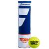 Babolat Team Clay Tennis Balls