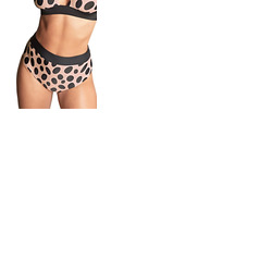 Panache Amalfi High Waist Bikini Brief