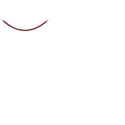 Red Barrier Rope