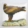 Julien Friers Cushion Cover