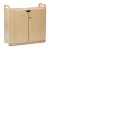 Lockable Cupboard with Display