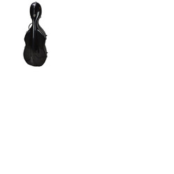 Hard Cello Case 1