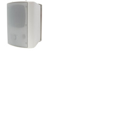 100 Volt Background Speaker (Pair)
