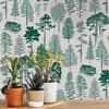 Catskills Woodland Wallpaper Douglas Fir Green