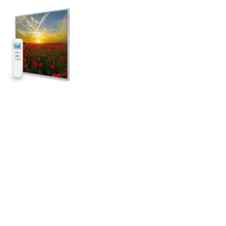 595x595 Setting Sun Nexus Wi