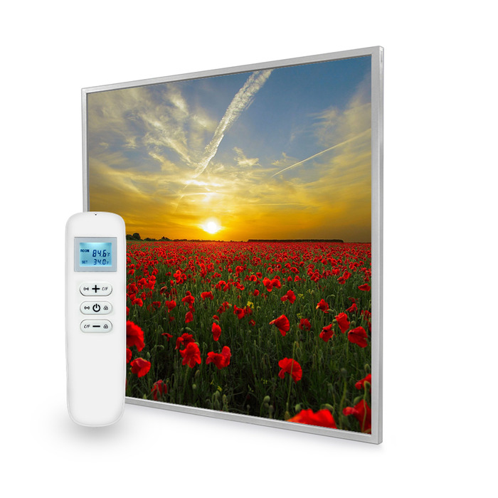 595x595 Setting Sun Nexus Wi