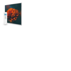 595x595 Flower Image Nexus Wi