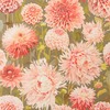 Harlequin Dahlia Wallpaper Coral