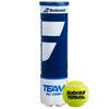 Babolat Team All Court Tennis Balls