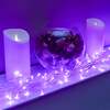 120 LED Purple Multi