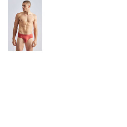 TEAMM8 Reign Brief