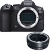 Canon EOS R6 Mark II Mirrorless Camera Body with EF-EOS R mount adapter