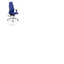 Onyx Posture Chair with Headrest Stevia Blue Fabric