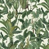 Paradisio Tropical Leaves Wallpaper White Erismann 6303
