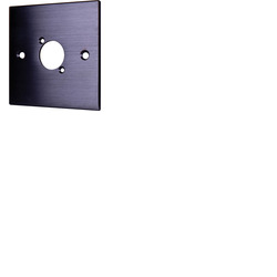 Black Wall Plate With D