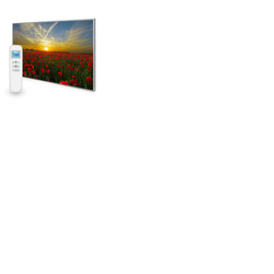 795x1195 Setting Sun Image Nexus Wi