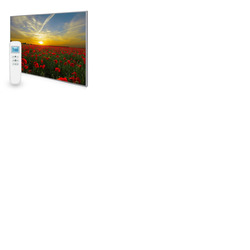 995x1195 Setting Sun Image Nexus Wi