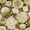 Harlequin Dahlia Wallpaper Fig Blossom