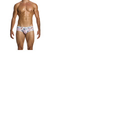 Modus Vivendi Romance Brief