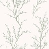 Laura Ashley Pussy Willow Wallpaper Sage Green