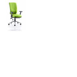 Chiro High Back Task Chair Myrrh Green fabric