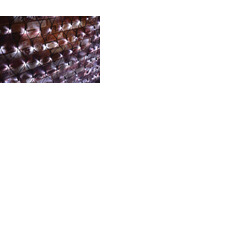 Outdoor LED Net Light with Controller 240V