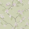 Cherry Blossom Wallpaper Sage Green