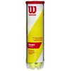 Wilson Championship Tennis Balls