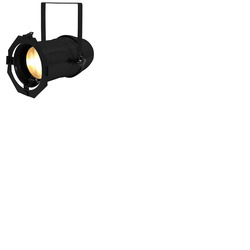 Zoom Par Warm White 100W 15